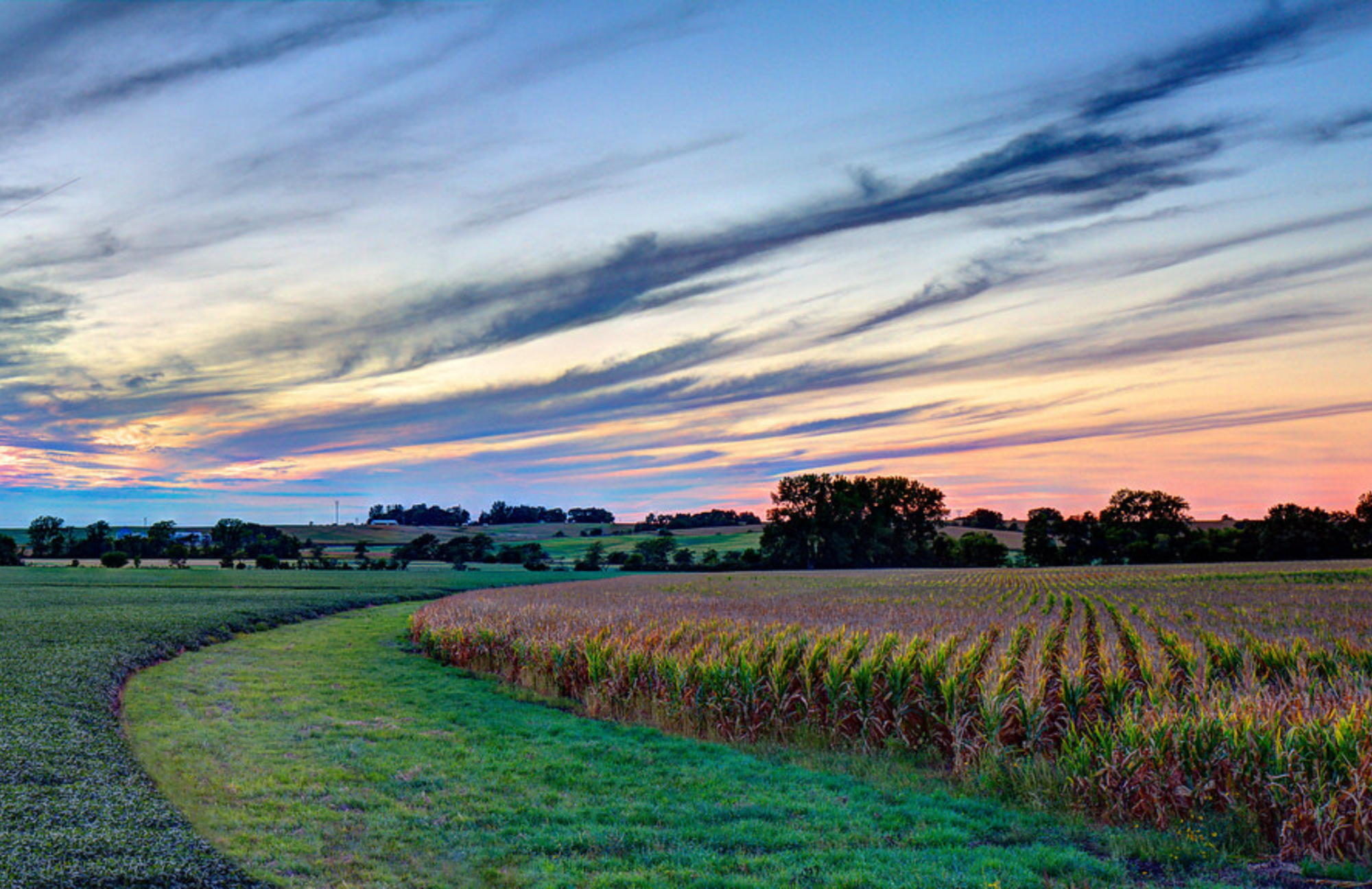 field